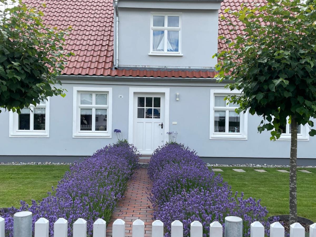 Haus Vicus Apartment Greifswald Ngoại thất bức ảnh