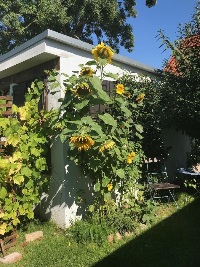 Haus Vicus Apartment Greifswald Ngoại thất bức ảnh