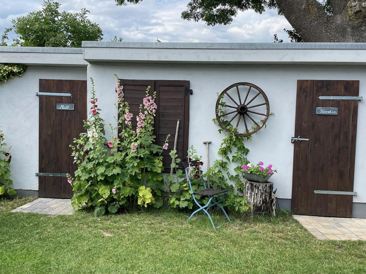 Haus Vicus Apartment Greifswald Ngoại thất bức ảnh