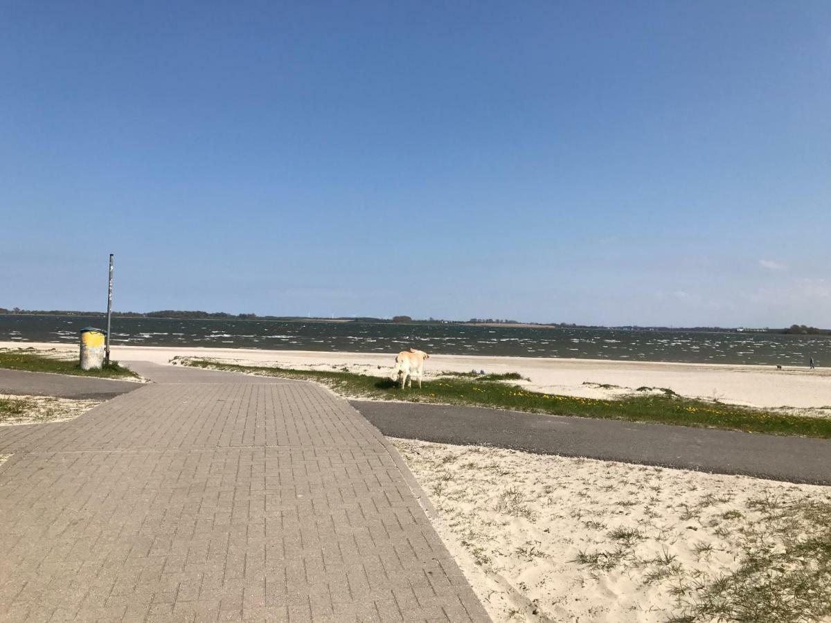 Haus Vicus Apartment Greifswald Ngoại thất bức ảnh