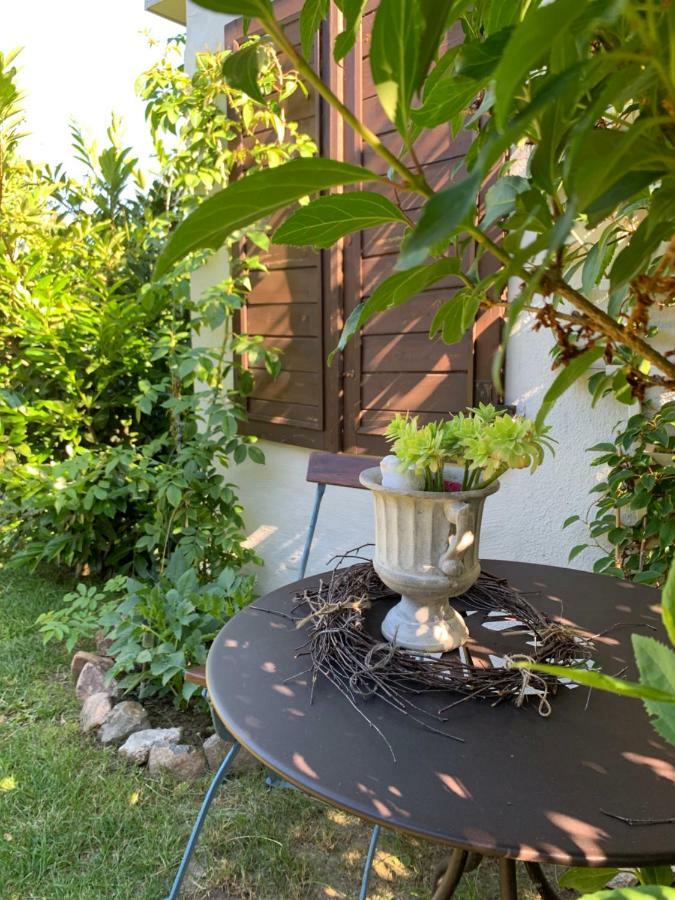 Haus Vicus Apartment Greifswald Ngoại thất bức ảnh