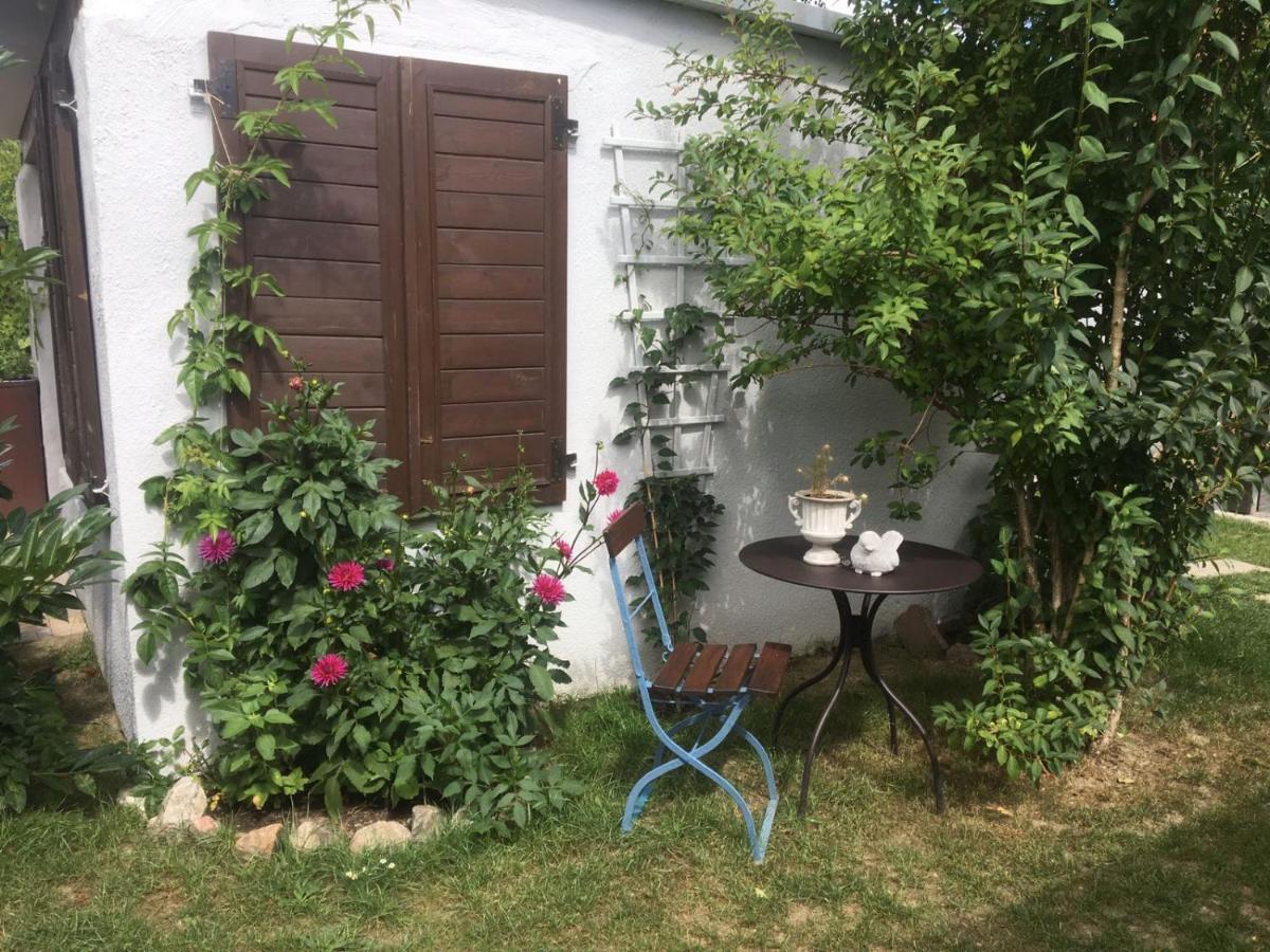 Haus Vicus Apartment Greifswald Ngoại thất bức ảnh